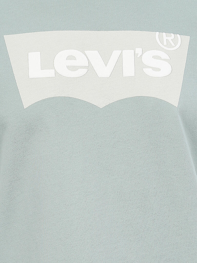 LEVI'S | T Shirt Housemark | grün