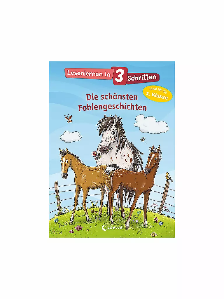 Die Schönsten Gänge In Lübeck LOEWE VERLAG Buch - Lesenlernen in 3 Schritten - Die schönsten