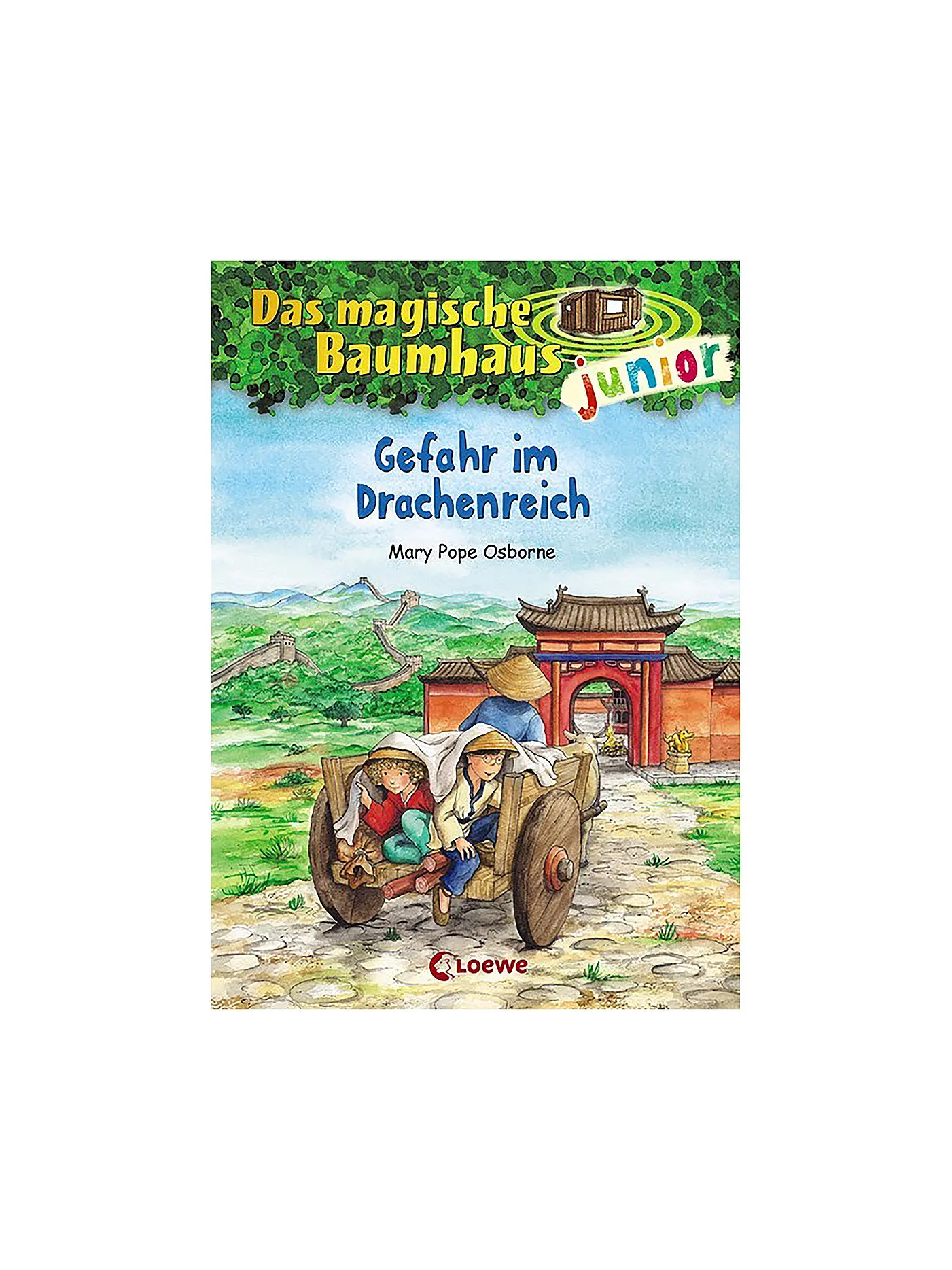 LOEWE VERLAG | Buch - Das magische Baumhaus junior - Im Reich der Löwen (11) | keine Farbe