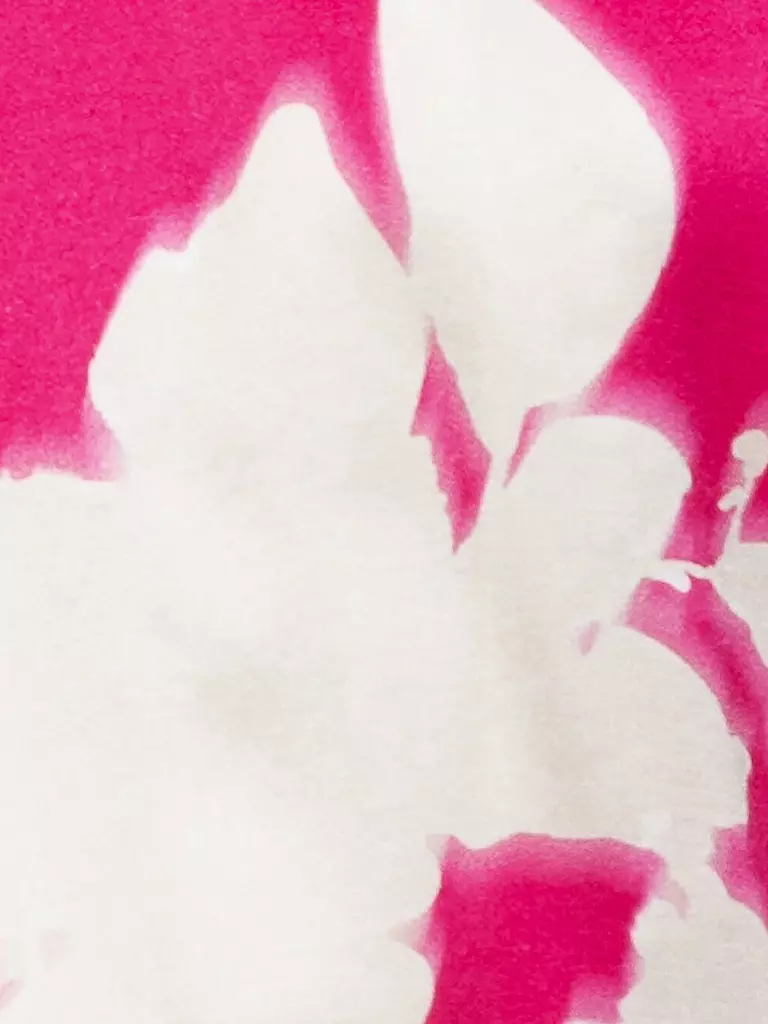 LUISA CERANO | Maxikleid | pink