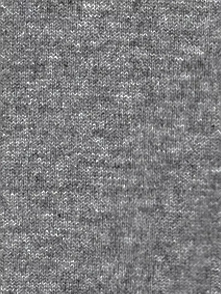 LUISA CERANO | Rollkragenpullover | grau