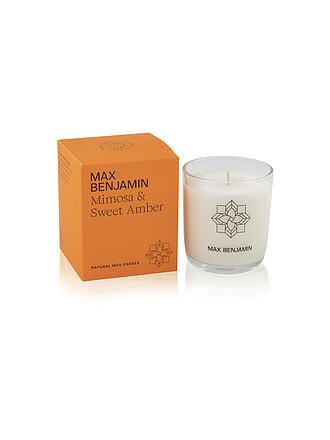 MAX BENJAMIN | Duftkerze 210g Mimosa / Sweet Amber