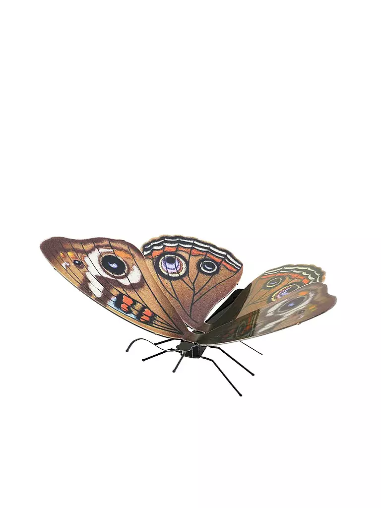 METAL EARTH | 3D Modellbausatz Butterfly Buckeye | keine Farbe
