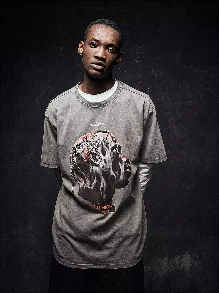 MISTER TEE | T-Shirt FLYING HIGH  | grau