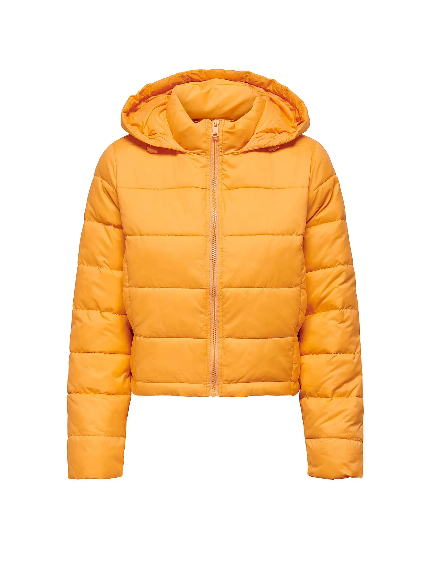 ONLY | Steppjacke ONLMAGGIE  | orange