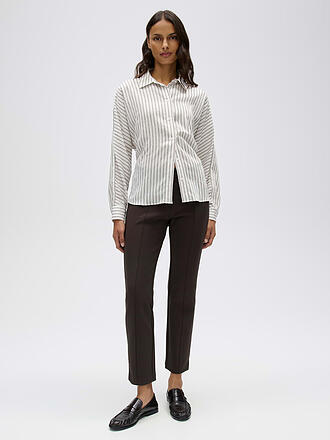 OPUS | Midirock ELVINA NIGHT