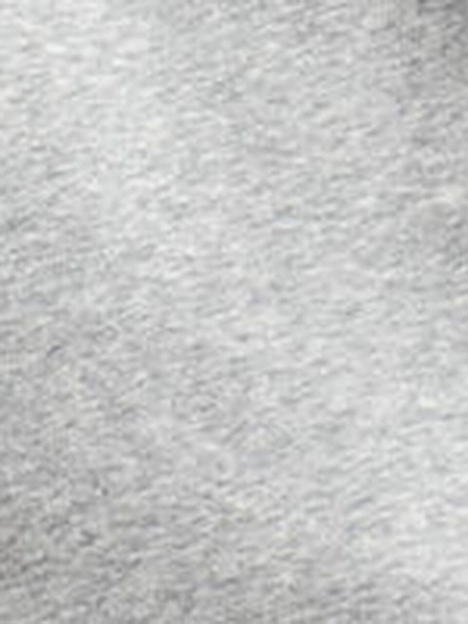 POLO RALPH LAUREN | Kapuzensweater - Hoodie | grau