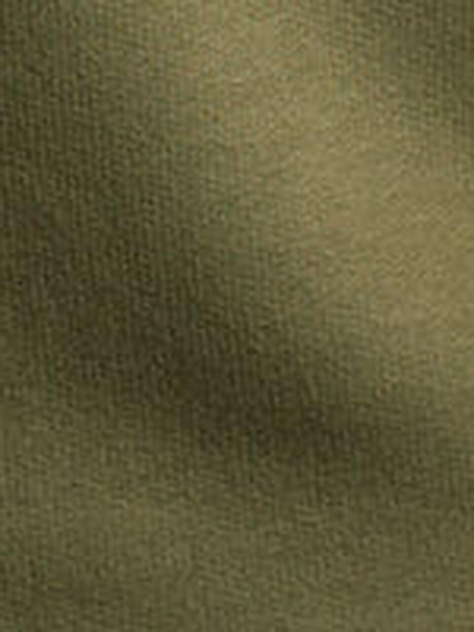 POLO RALPH LAUREN | Kapuzensweater - Hoodie | bunt