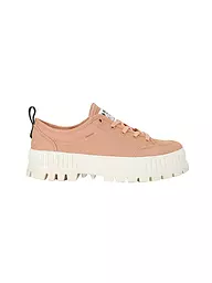 PALLADIUM | Sneaker PALLASHOCK LO ORG 2 | orange
