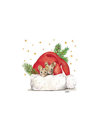 PAPER-PRODUCTS | Weihnachts-Servietten 33x33cm 