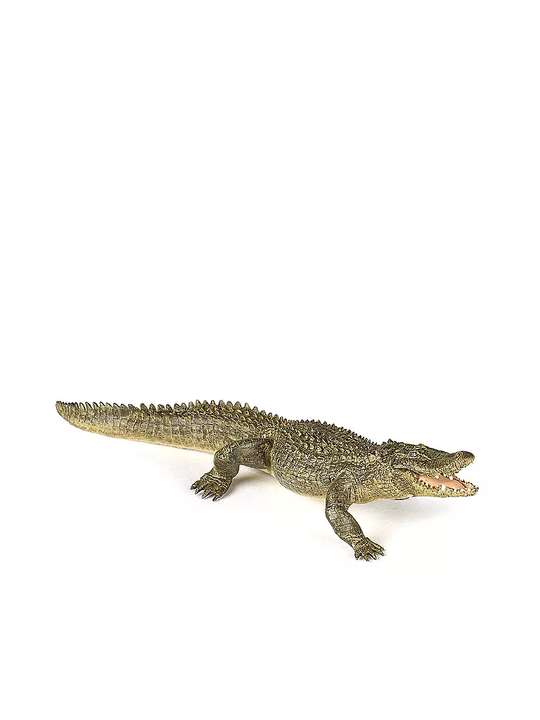 PAPO | Alligator | keine Farbe