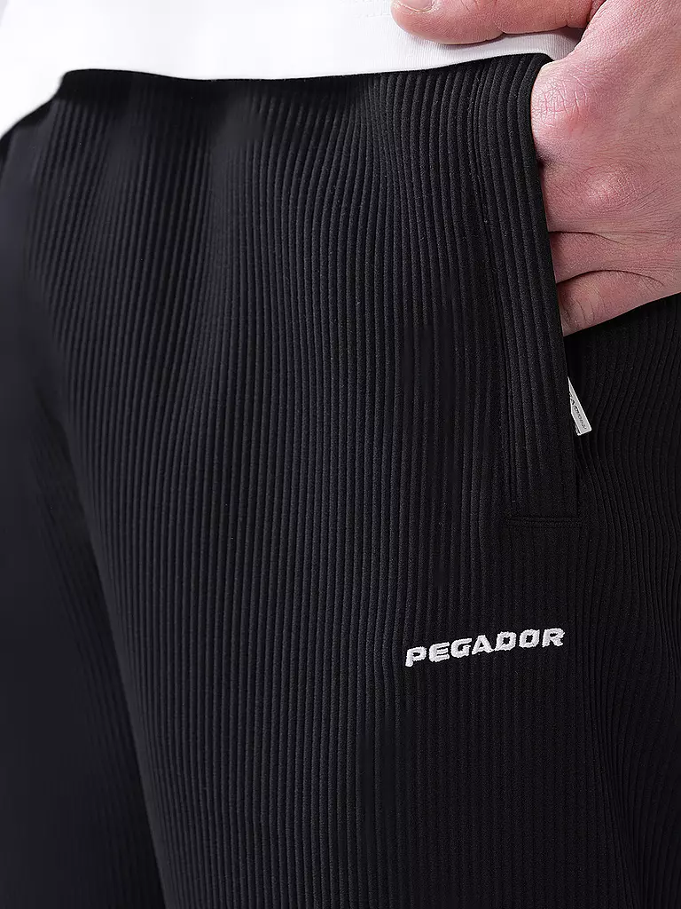 PEGADOR | Jogginghose TROY PLISSEE | grau