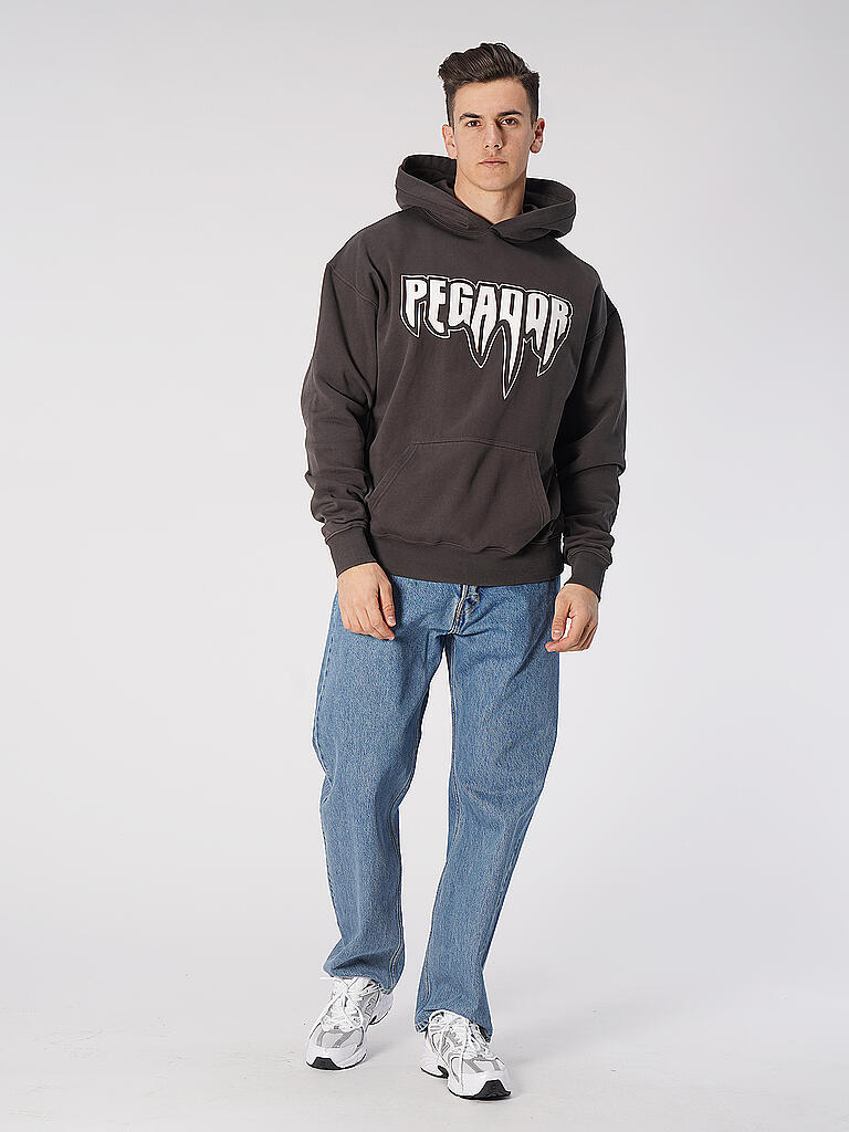 PEGADOR | Kapuzensweater - Hoodie AKRON | grau