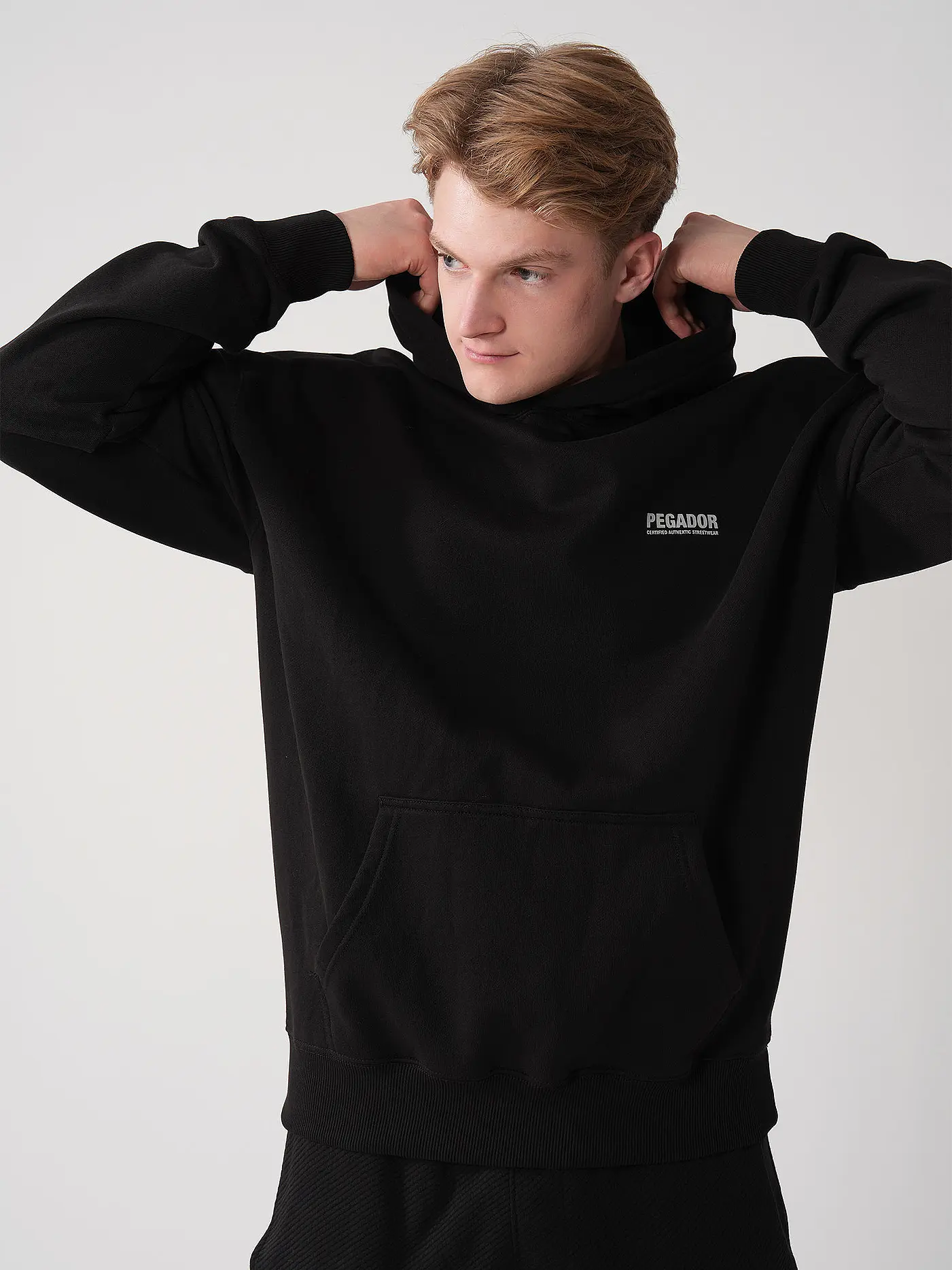 PEGADOR | Kapuzensweater - Hoodie CLINTON  | schwarz