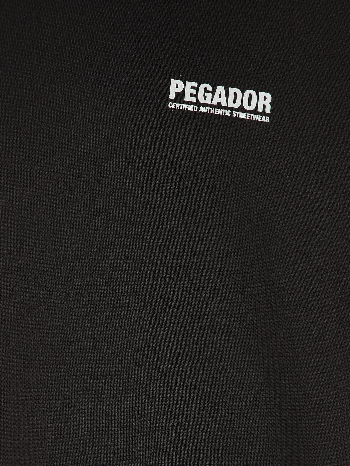 PEGADOR | Kapuzensweater - Hoodie CLINTON  | schwarz