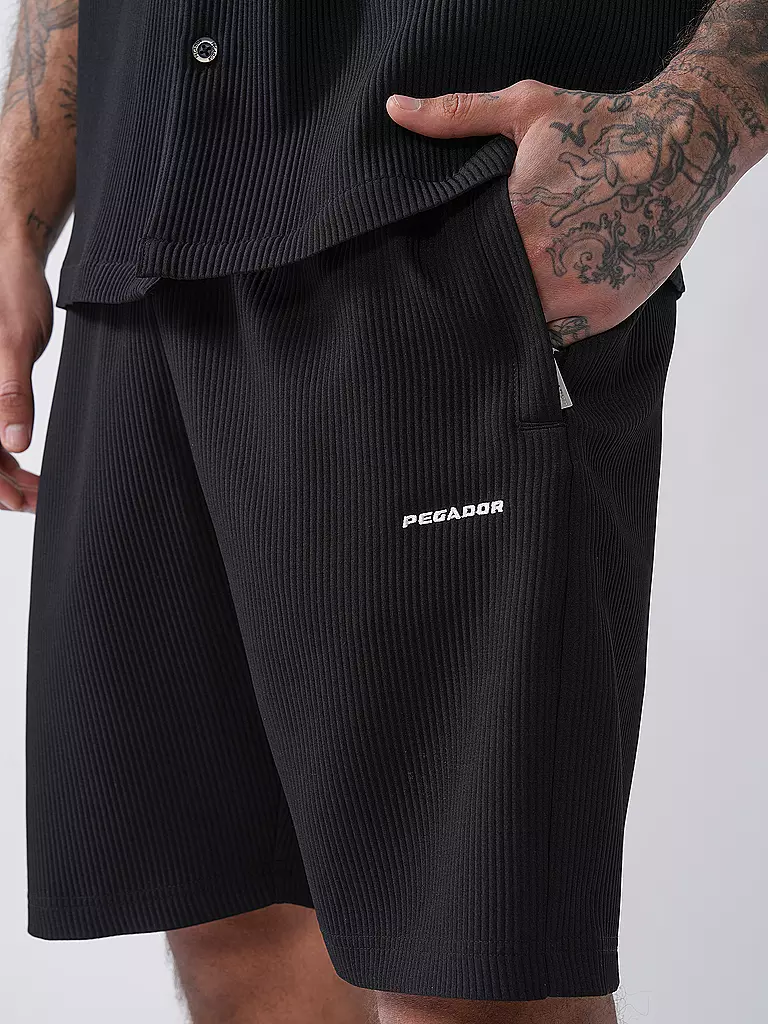 PEGADOR | Shorts TROY | grau