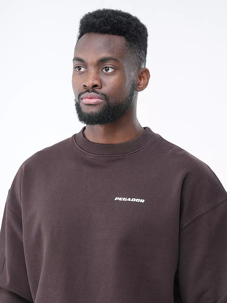 PEGADOR | Sweater  | braun