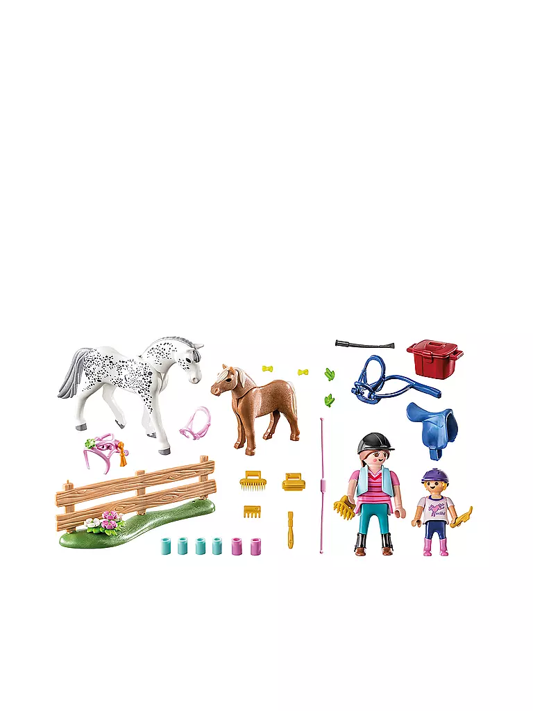 PLAYMOBIL | Starter Pack Pferdepflege | keine Farbe