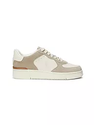 POLO RALPH LAUREN | Sneaker MASTERS COURT | creme