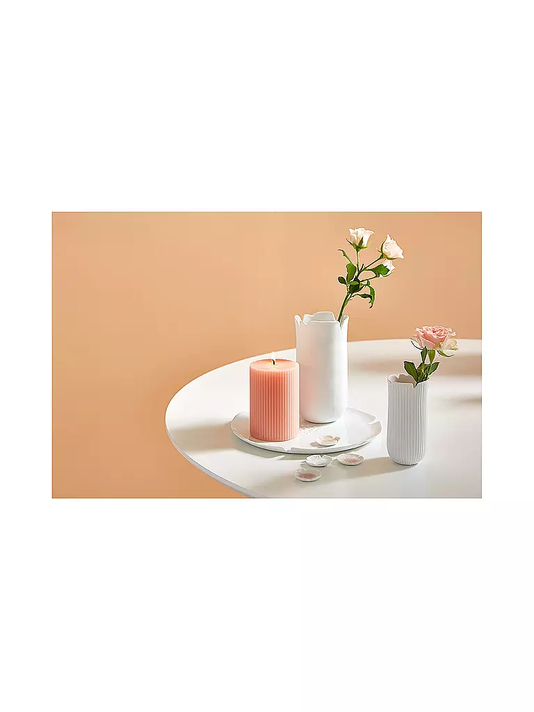 RAEDER | Vase 5,2x11cm DAS BLUEHENDE LEBEN Poppy | weiss