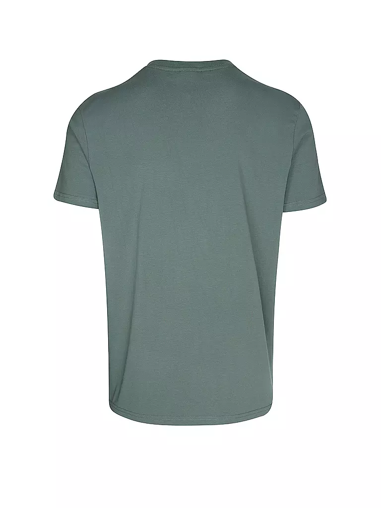 RAGWEAR | T-Shirt ENDREW D | grün
