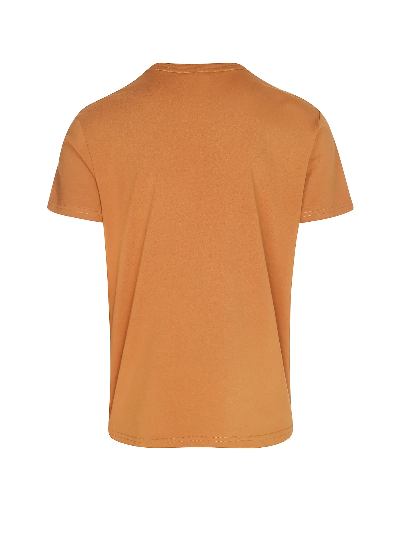 RAGWEAR | T-Shirt ENDREW H | kupfer