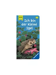 RAVENSBURGER | Buch - Ich bin der kleine Igel | keine Farbe