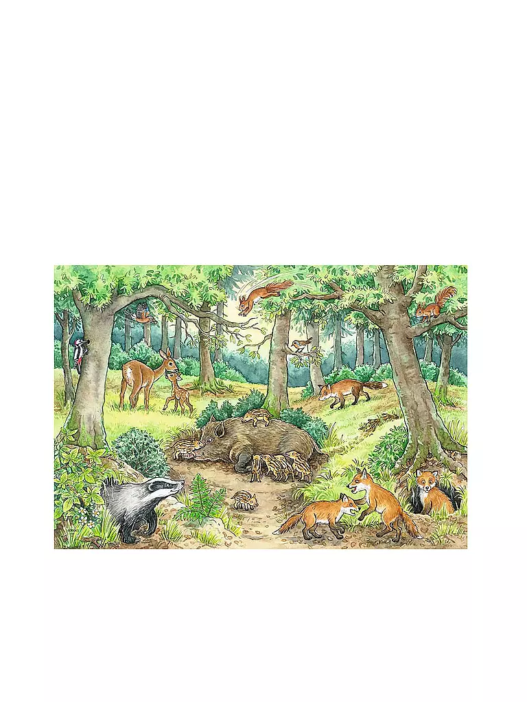 RAVENSBURGER | Kinderpuzzle - Tiere im Wald und auf der Wiese - 2x12 Teile | keine Farbe
