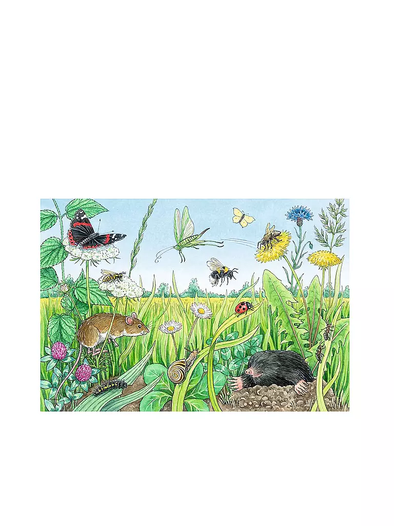 RAVENSBURGER | Kinderpuzzle - Tiere im Wald und auf der Wiese - 2x12 Teile | keine Farbe