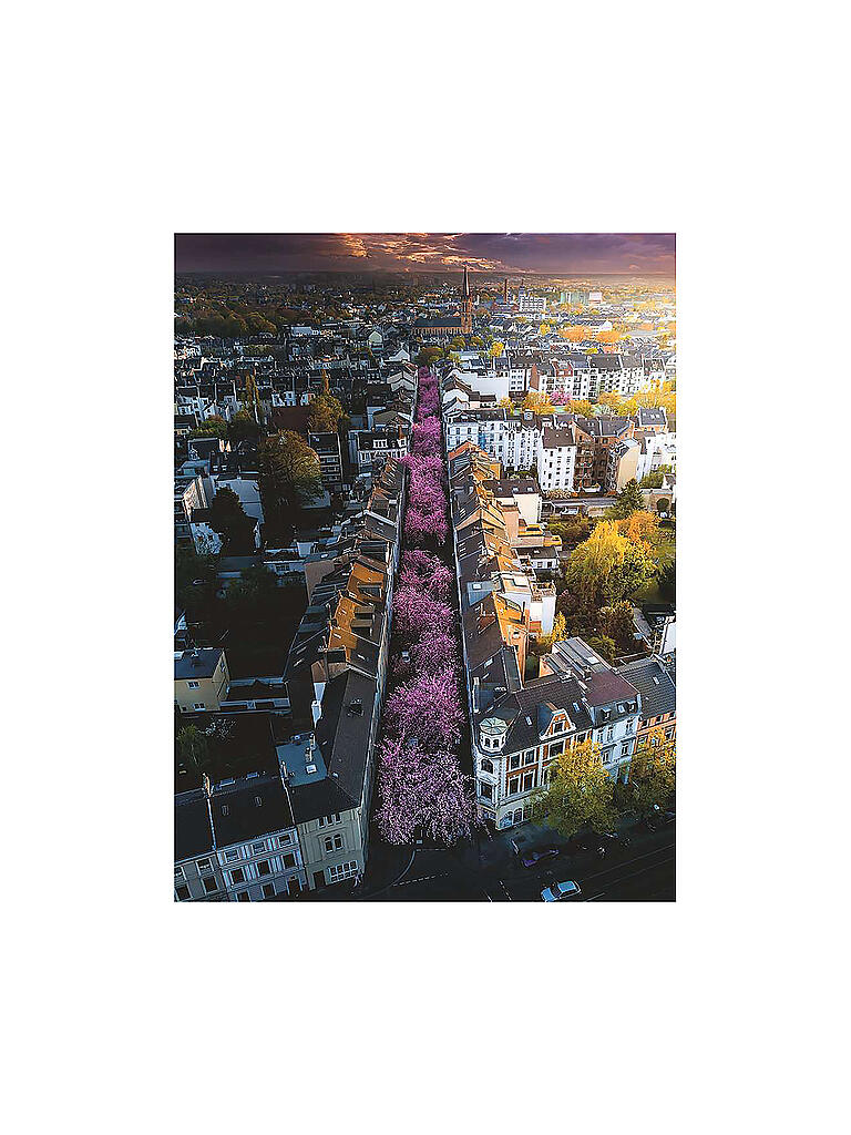 RAVENSBURGER | Puzzle - Blühendes Bonn - 1500 Teile | keine Farbe