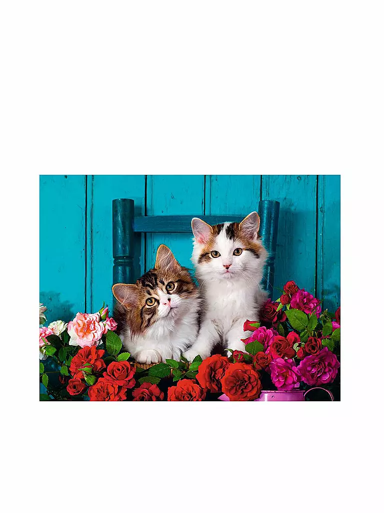 RAVENSBURGER | Puzzle - Katzenbabys - Gold Edition 500 Teile | keine Farbe