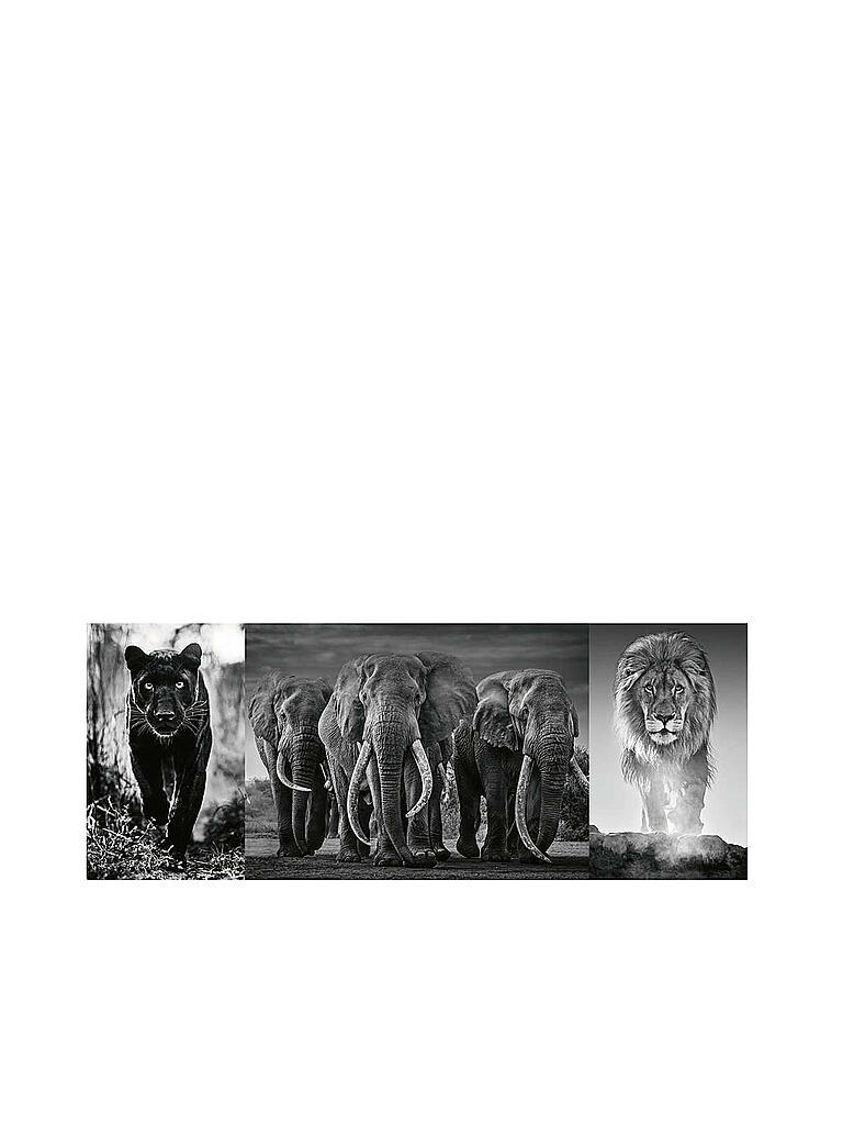 RAVENSBURGER | Puzzle - Panter, Elefanten, Löwe - 1000 Teile | keine Farbe
