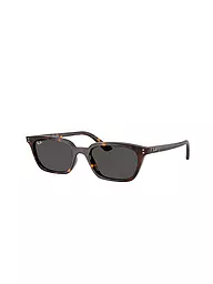 RAY BAN | Sonnenbrille 0RB4456/53 | Braun