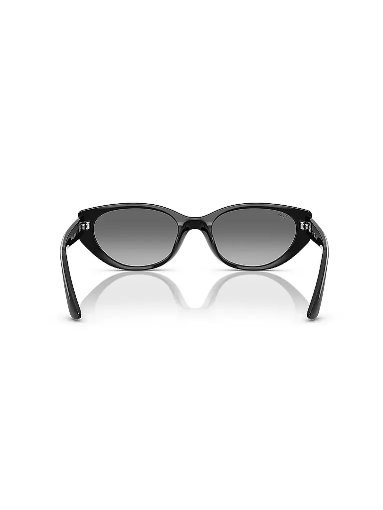RAY BAN | Sonnenbrille 0RB4457D/55 | schwarz