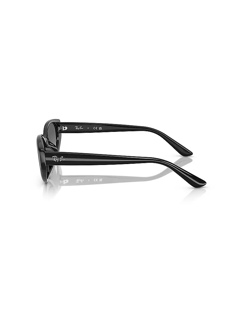 RAY BAN | Sonnenbrille 0RB4457D/55 | schwarz