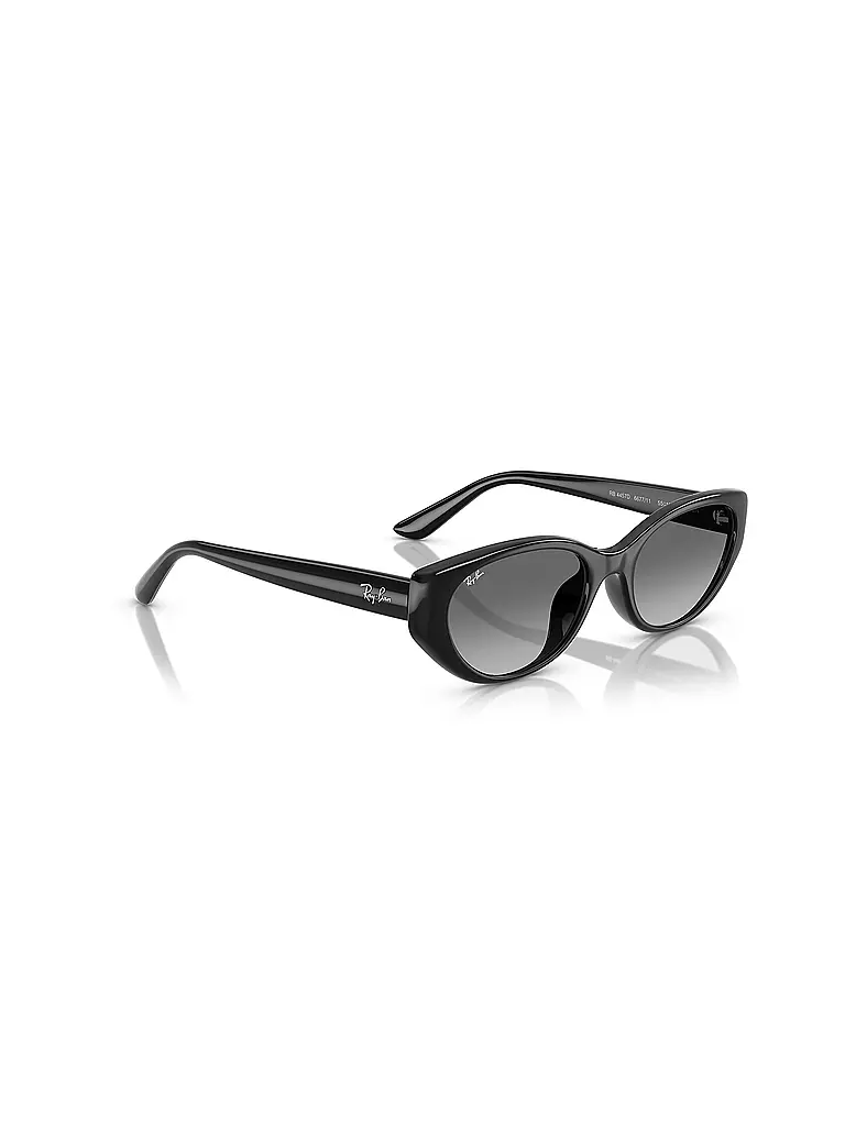 RAY BAN | Sonnenbrille 0RB4457D/55 | schwarz