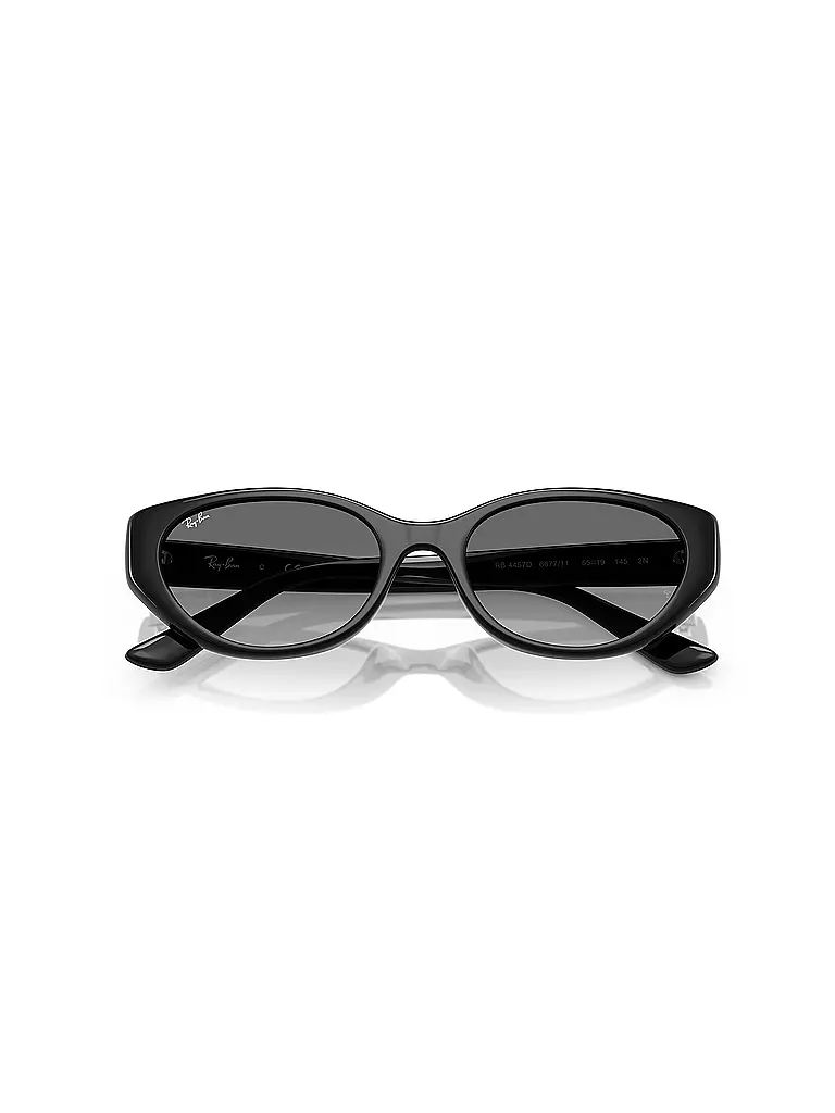 RAY BAN | Sonnenbrille 0RB4457D/55 | schwarz