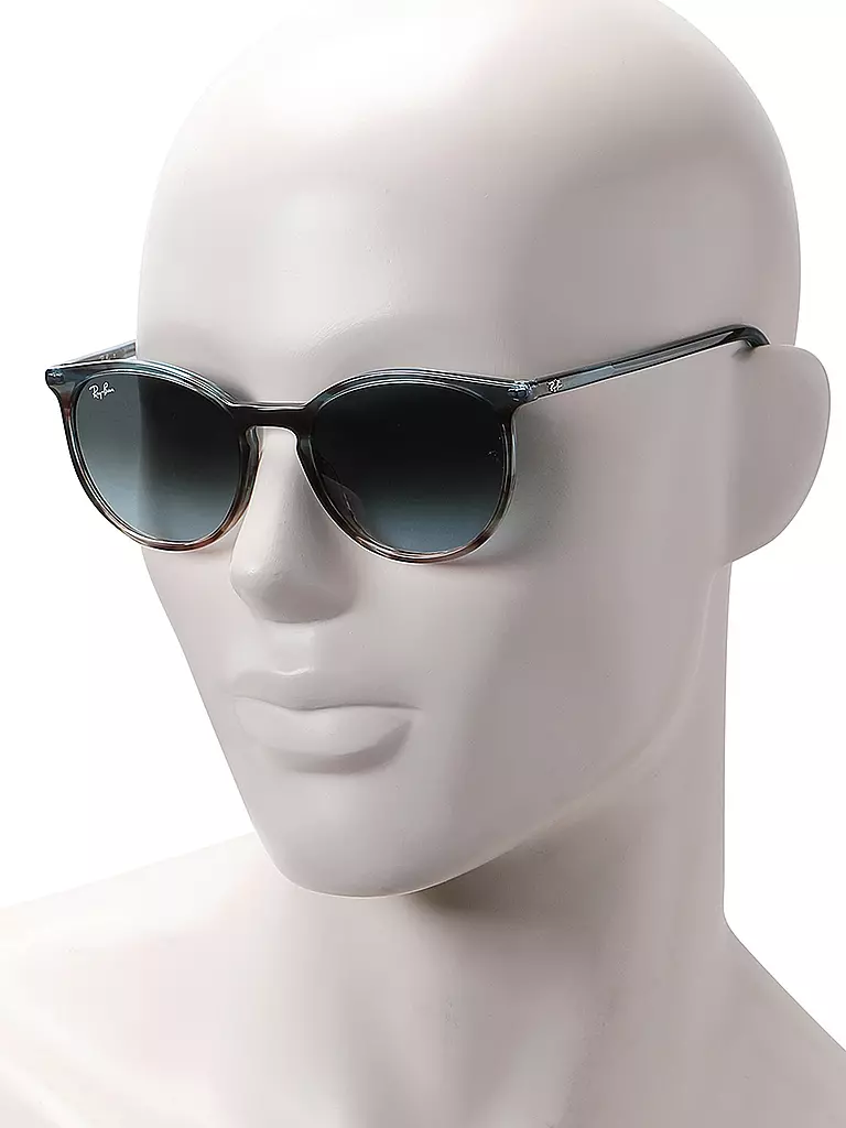 RAY BAN | Sonnenbrille 2204/54 | schwarz