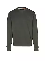 REPLAY | Sweater  | olive