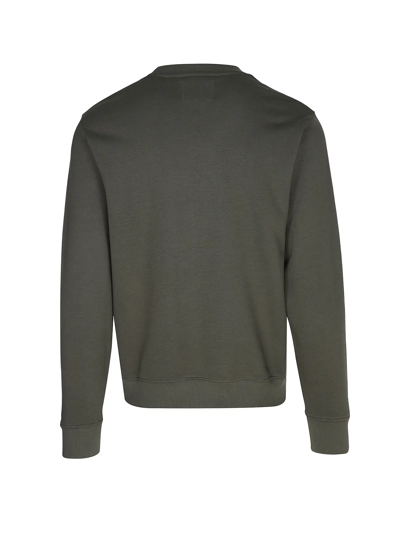 REPLAY | Sweater  | olive
