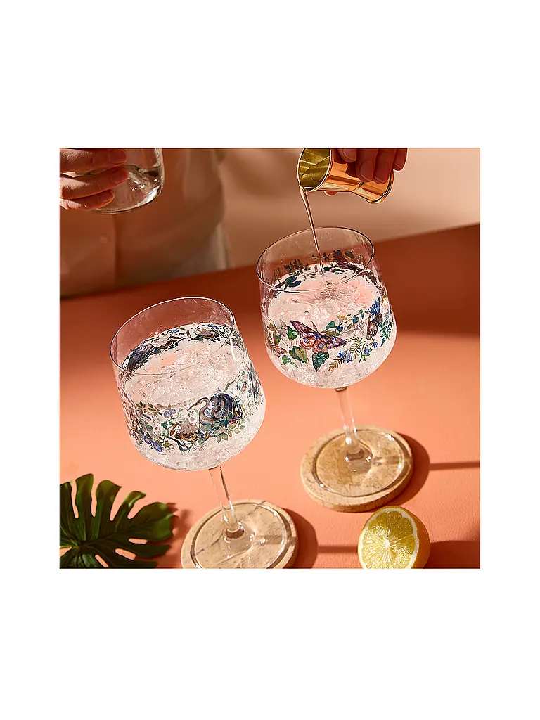 RITZENHOFF | Aperetifglas Set 2tlg. SCHATTENFAUNA GIN #7 #8 Mcallister | bunt