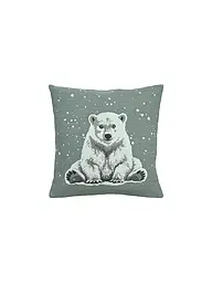SANDER | Weihnachts Kissenhülle 45x45cm ARKTOS Blue Fox | mint