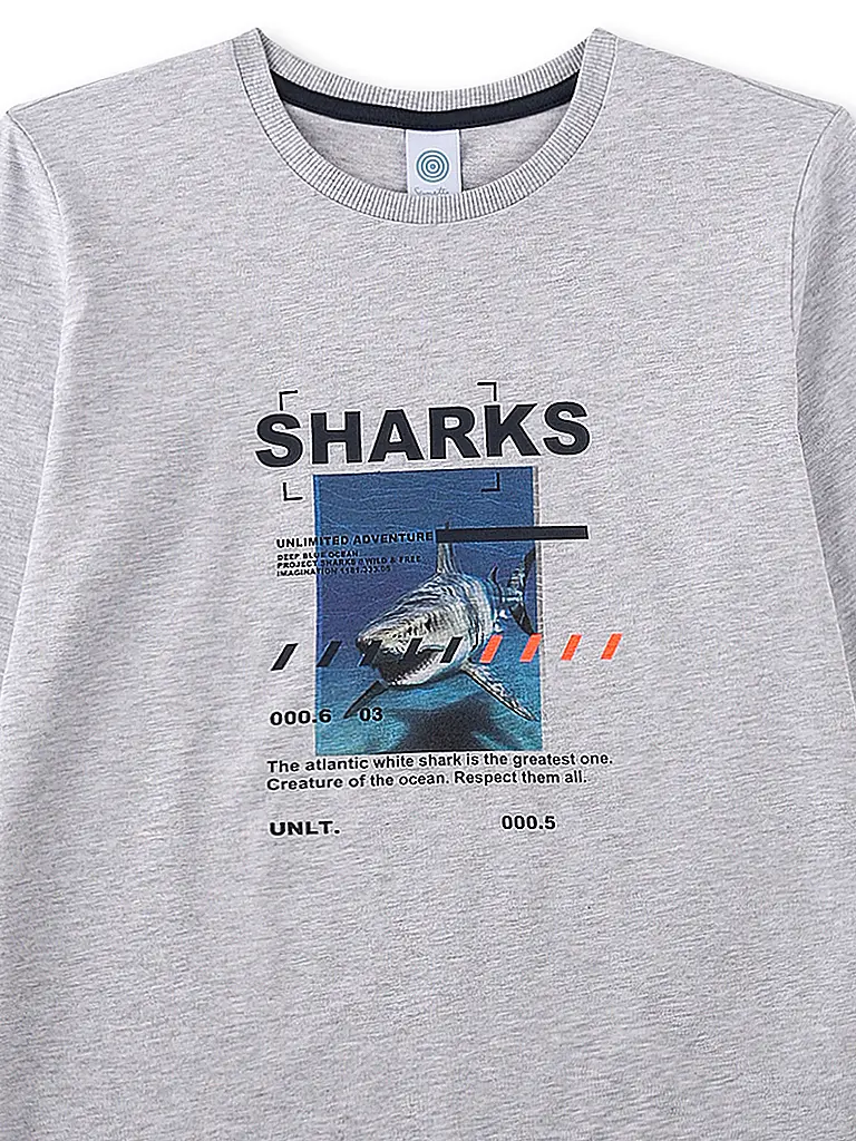 SANETTA | Jungen Pyjama 2-teilig Langarmshirt und Hose | 