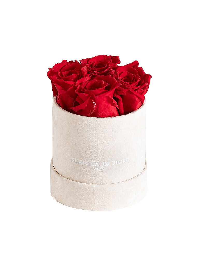 SCATOLA DI FIORI Infinity Rosen 4er Geschenkbox creme