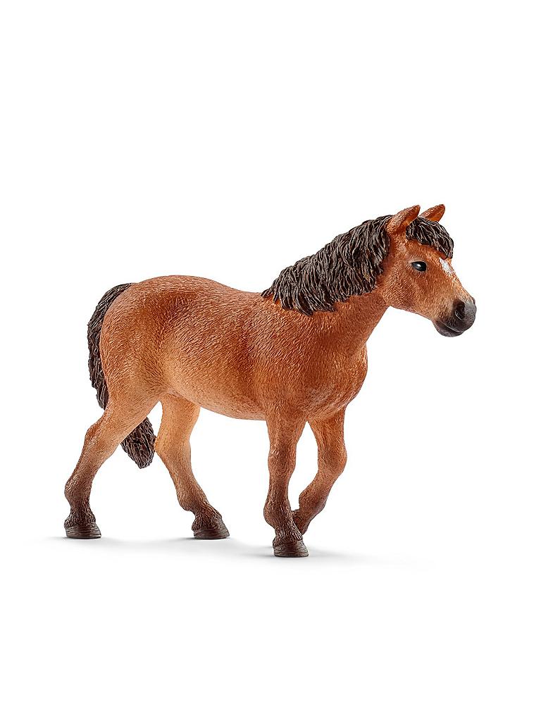 SCHLEICH | Dartmoor Pony - Stute 13873 | keine Farbe