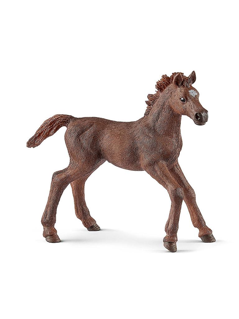 SCHLEICH | Englisch Vollblut - Fohlen 13857 | keine Farbe