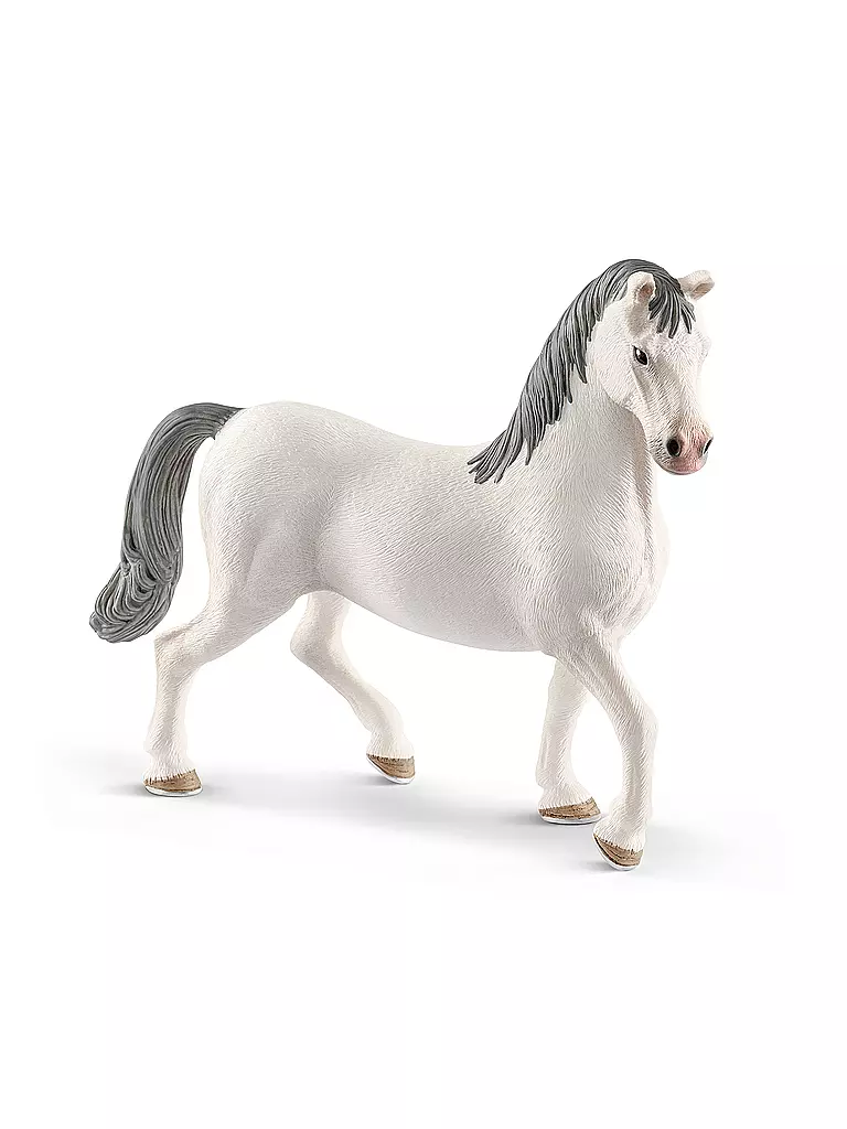 SCHLEICH | Lipizzaner Hengst "Horse Club" 13887 | keine Farbe