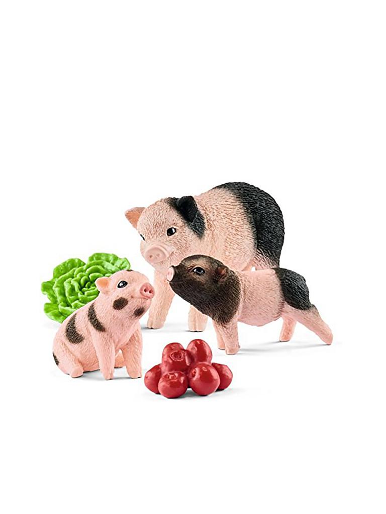 SCHLEICH | Minischwein - Mutter und Ferkel | keine Farbe