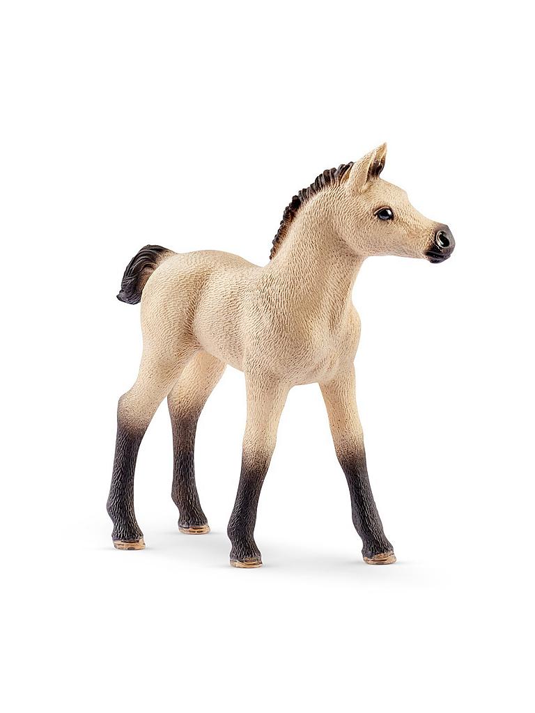 SCHLEICH | Pferdebox mit Arabern und Pferdepfllegerin "Horse Club" 42369 | keine Farbe