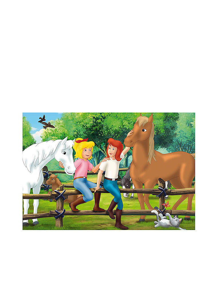 SCHMIDT-SPIELE | Puzzle-Box im Metallkoffer - Bibi und Tina | keine Farbe